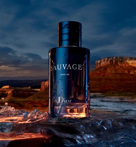 crema dior sauvage|sauvage dior perfume.